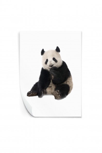 Reusable sticker The Panda
